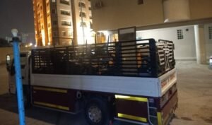 دينا نقل عفش حي الملز , نقل عفش حي الملز , شركة نقل عفش حي الملز , نقل عفش حي الملز رخيص